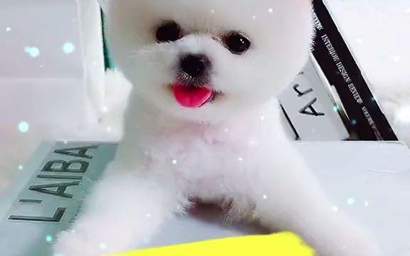 20221110121834_90650 20221110121834_90650