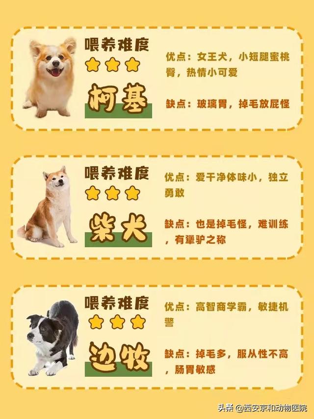 20221110124545_64193 20221110124545_64193