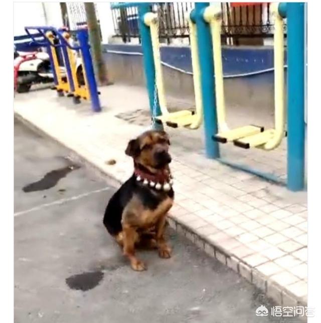 20221110125147_43968