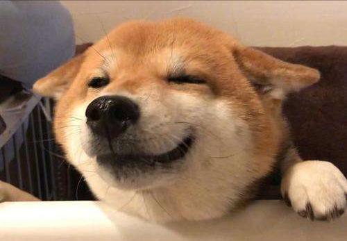 20221110125311_72298