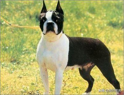 20221110125342_18467