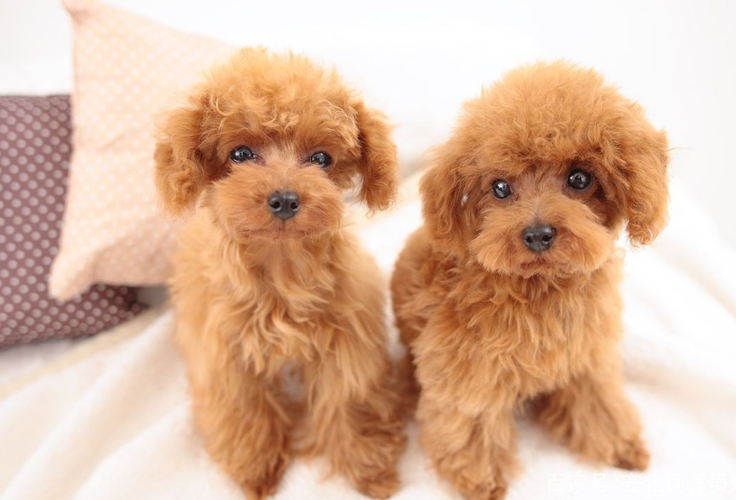 20221110130539_85955 20221110130539_85955