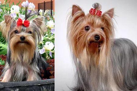 20221110130540_51779 20221110130540_51779