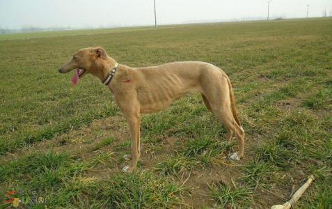 20221110131038_36467