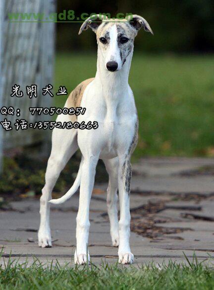 20221110131038_98440