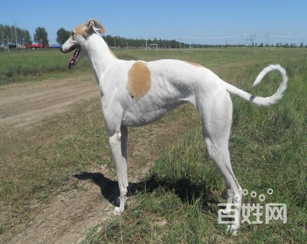 20221110131039_75264