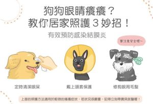 狗狗眼睛发痒是什么病(狗狗眼睛周围发红发痒)-警犬训练器材厂家 _警犬训练用品_工作犬训练用品-南京开久警犬装备