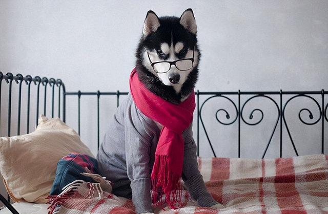 20221110132357_22517