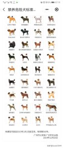 长沙禁养犬种2020长沙狗狗禁养名单-警犬训练器材厂家 _警犬训练用品_工作犬训练用品-南京开久警犬装备