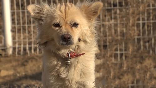 20221110135854_17206 20221110135854_17206