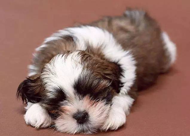 20221110135855_84134 20221110135855_84134