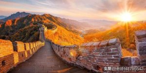 中国昆仑山脉犬萌宠(中国昆仑山脉犬价格)-警犬训练器材厂家 _警犬训练用品_工作犬训练用品-南京开久警犬装备