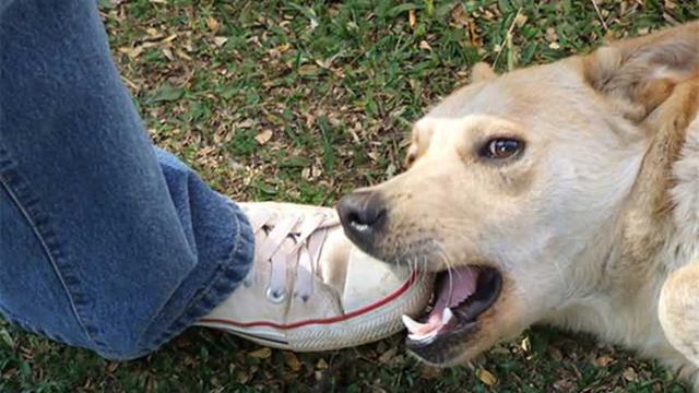 20221110161303_35922