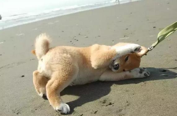 20221110162804_30423