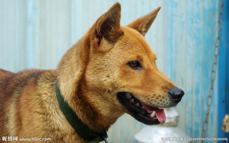 20221110164719_27559 20221110164719_27559