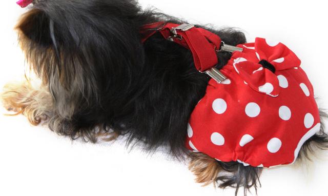 20221110165230_27269