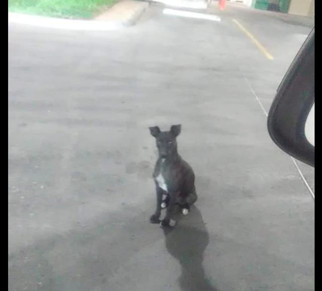 20221110165637_12413