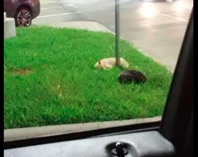 20221110165637_90284