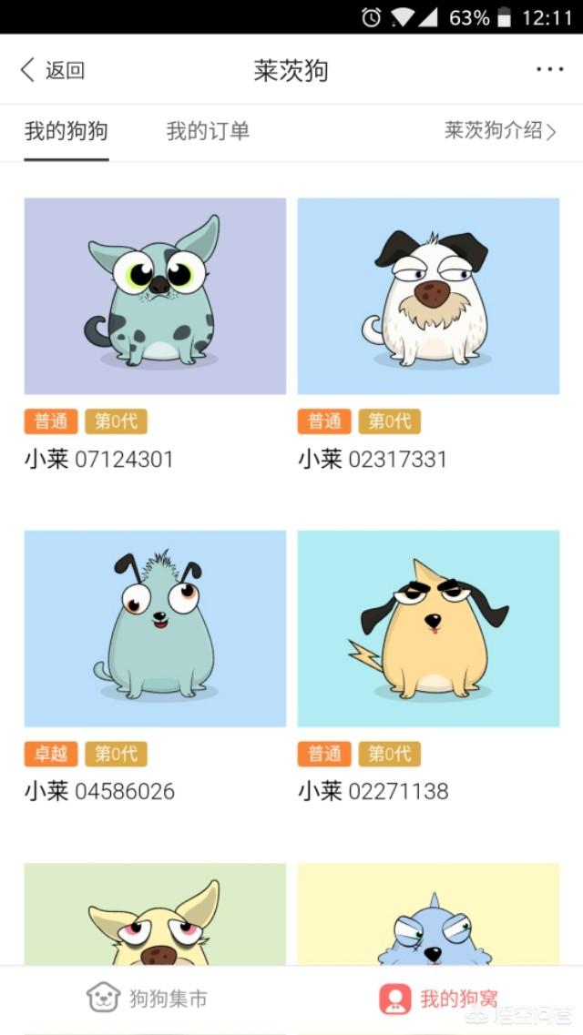 百度宠物犬 *** (宠物犬雪纳瑞 *** ) - 警犬训练器材厂家 _警犬训练用品_工作犬训练用品-南京开久警犬装备-警犬训练器材厂家 _警犬训练用品_工作犬训练用品-南京开久警犬装备