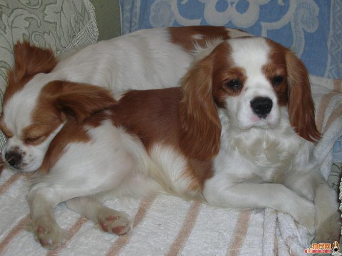 20221110174102_84153 20221110174102_84153