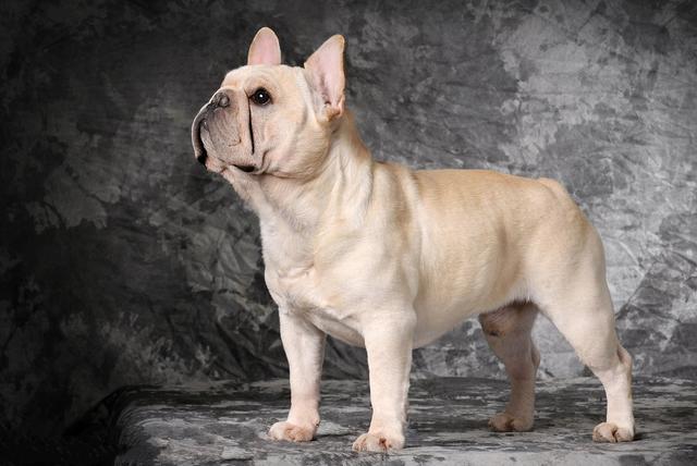 20221110175202_88375