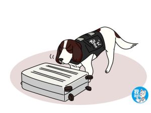 史宾格犬的简介(史宾格犬缺点)-警犬训练器材厂家 _警犬训练用品_工作犬训练用品-南京开久警犬装备