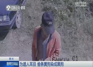 天津4名爱狗人士被刑拘(天津爱狗人士 杨晓芸有组织吗)-警犬训练器材厂家 _警犬训练用品_工作犬训练用品-南京开久警犬装备