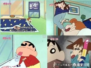 公狗小白(小白公狗怎么取名)-警犬训练器材厂家 _警犬训练用品_工作犬训练用品-南京开久警犬装备