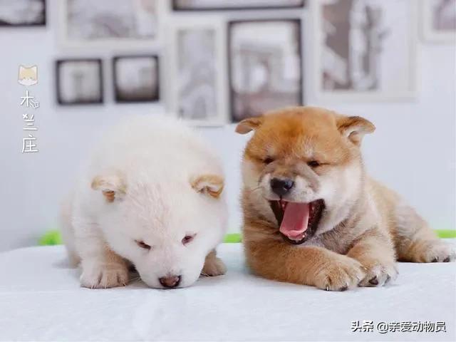 20221110182444_44305