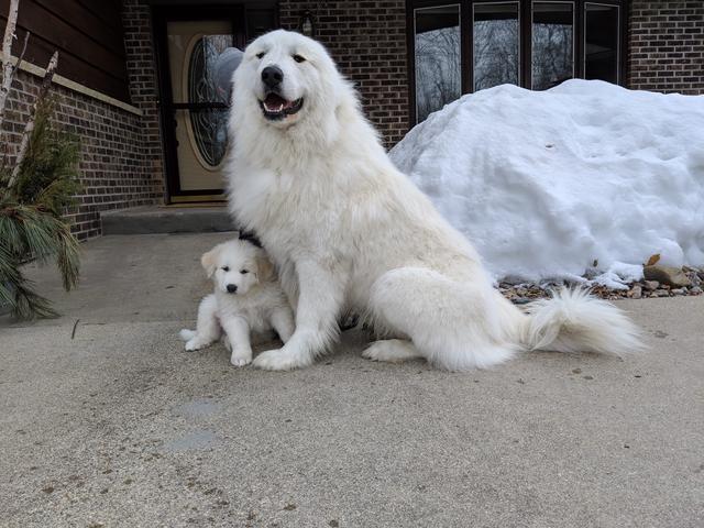 20221110182732_53275