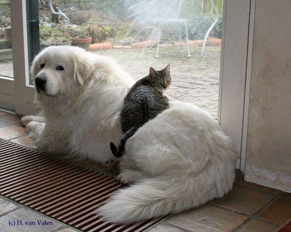 20221110182733_44184