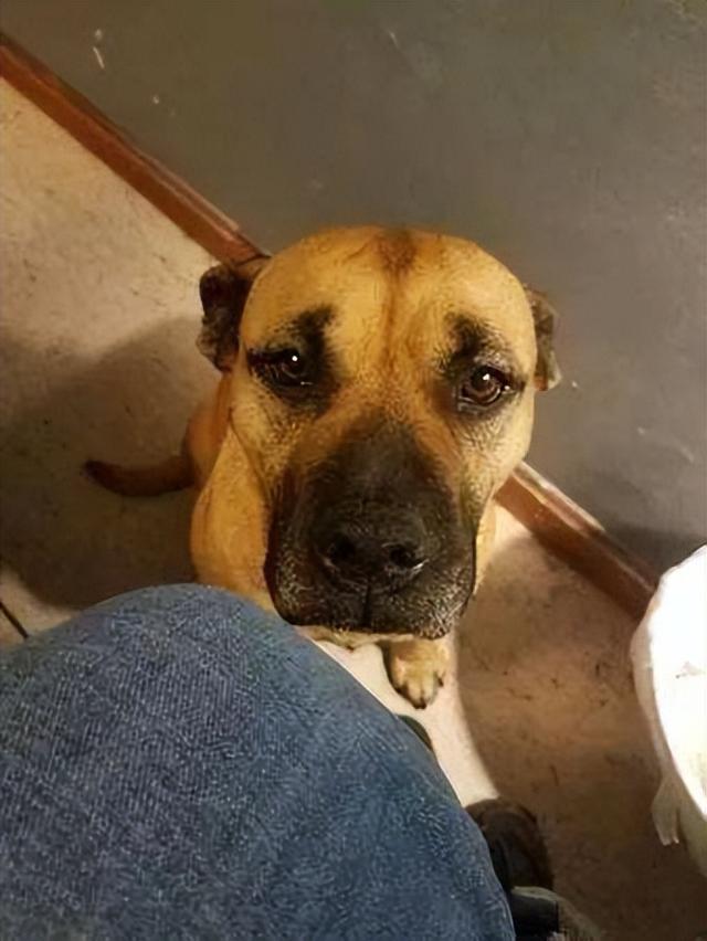 20221110185807_96680 20221110185807_96680