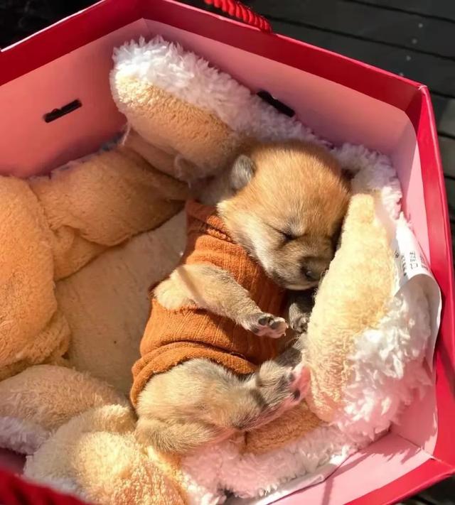 20221110194814_66197