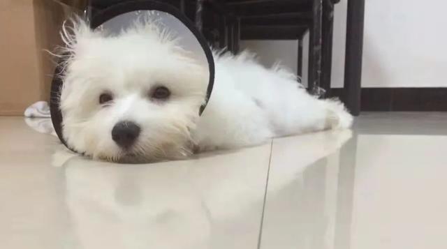 20221110194814_72998