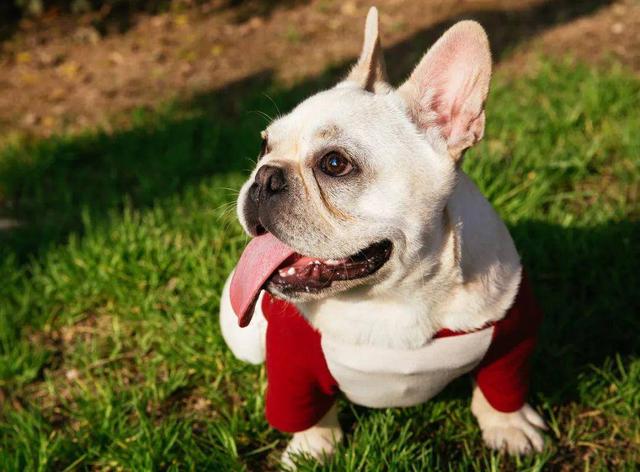 20221110195602_59817