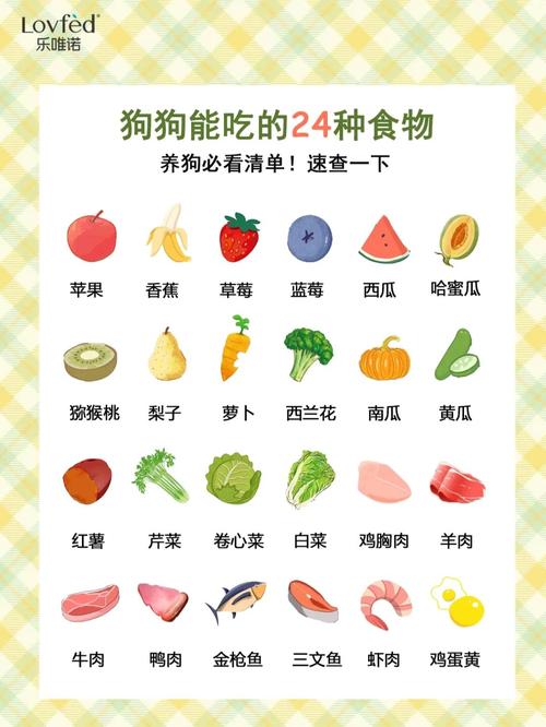 幼犬可以吃什么主食(幼犬土狗吃什么主食比较好) - 警犬训练器材厂家 _警犬训练用品_工作犬训练用品-南京开久警犬装备-警犬训练器材厂家 _警犬训练用品_工作犬训练用品-南京开久警犬装备