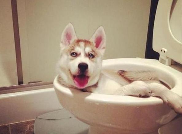 20221110202342_56704