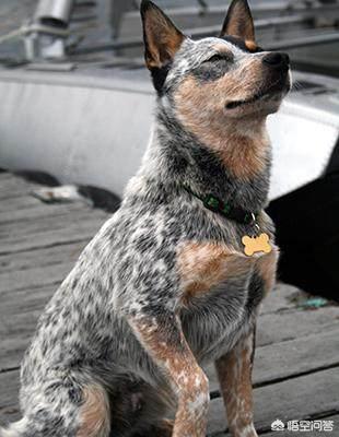 20221110202504_36900 20221110202504_36900