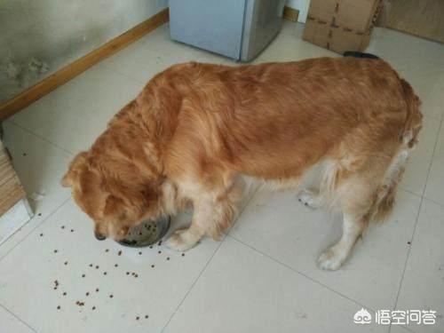 20221110202505_47521 20221110202505_47521