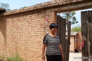 比格小狗多少钱一只(比格幼犬大概多少钱一只)-警犬训练器材厂家 _警犬训练用品_工作犬训练用品-南京开久警犬装备