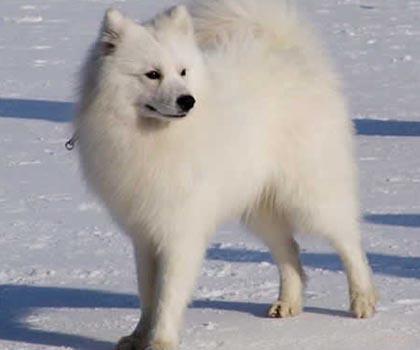 20221110205902_45605 20221110205902_45605