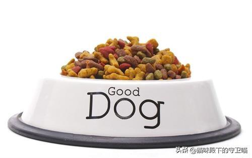 20221110210835_74039