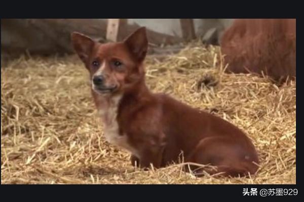 20221110210952_77305