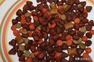 狗狗食欲不振(狗狗食欲不振吐黄水怎么办)-警犬训练器材厂家 _警犬训练用品_工作犬训练用品-南京开久警犬装备