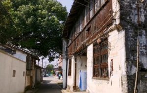 松江泖港宠物狗(松江泖港宠物狗养殖厂在哪里)-警犬训练器材厂家 _警犬训练用品_工作犬训练用品-南京开久警犬装备