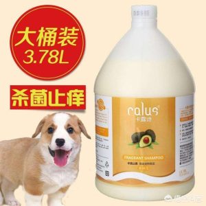 圣路薇狗狗沐浴露萌宠  圣路薇沐浴露怎么样-警犬训练器材厂家 _警犬训练用品_工作犬训练用品-南京开久警犬装备