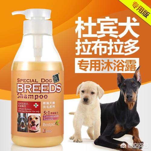 20221110212055_40369