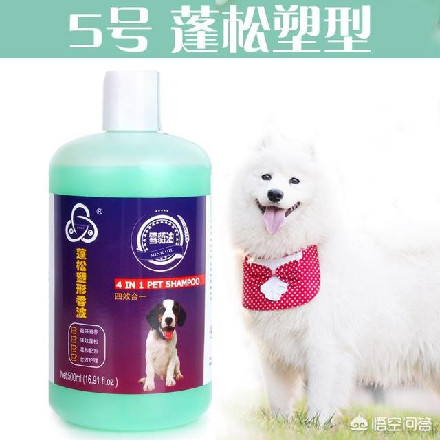 20221110212056_19207