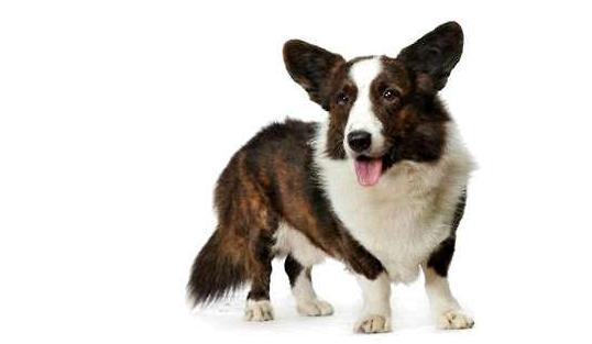 20221110212746_18035 20221110212746_18035