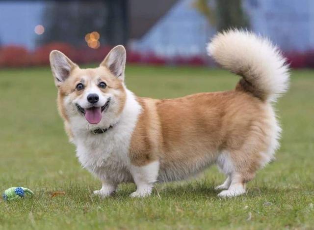 20221110212747_49823